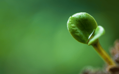 Financial Planning For Small Business