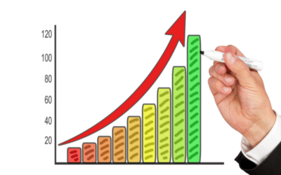 Profit In Business