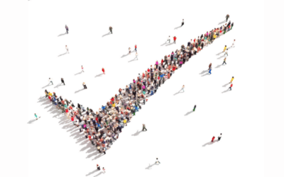 Social Enterprise Management For Success