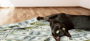 Why Cash Is Important For Business