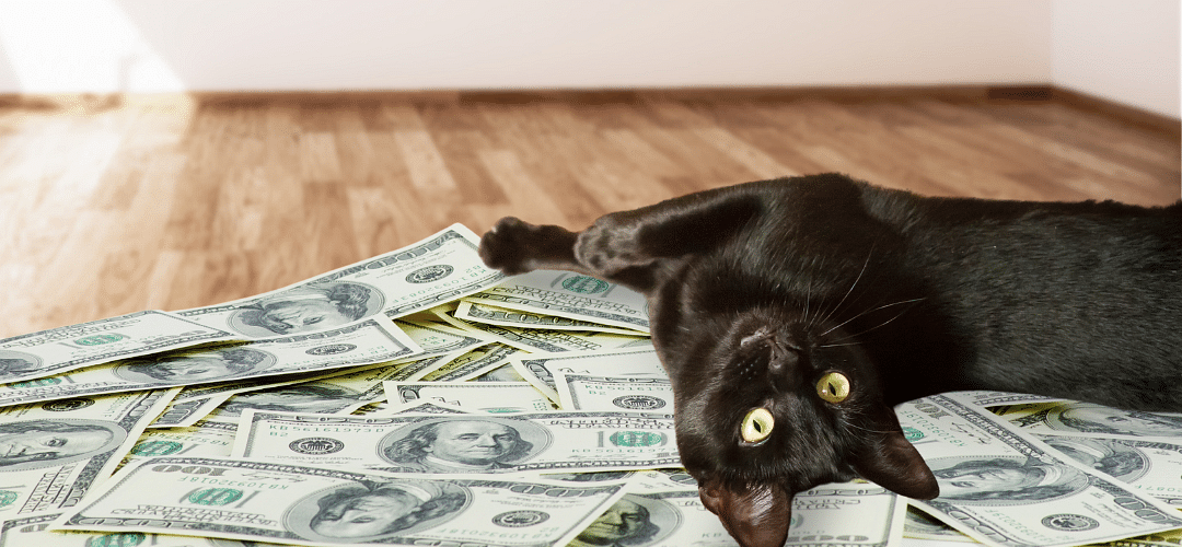 Why Cash Is Important For Business